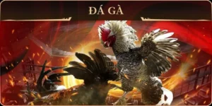 Cách Chơi Đá Gà GA28 Tại Yeu88 Đỉnh Cao Giải Trí Trực Tuyến 2 Cách Chơi Đá Gà GA28 Tại Yeu88 Đỉnh Cao Giải Trí Trực Tuyến