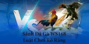 Bí Quyết Chơi Đá Gà WS168 Tại Yeu88 Thắng Lớn Dễ Dàng Hơn 1 Bí Quyết Chơi Đá Gà WS168 Tại Yeu88 Thắng Lớn Dễ Dàng Hơn